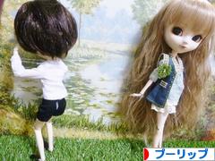 にほんブログ村 コレクションブログ プーリップ・テヤン・ダルへ