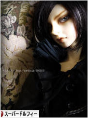 にほんブログ村 コレクションブログ スーパードルフィーへ