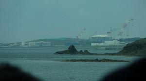 P1030599_10