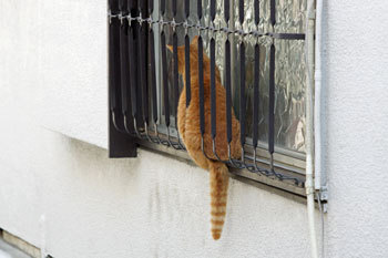 DSC00195-s.jpg