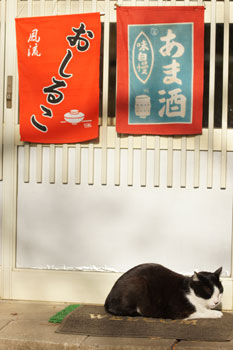 DSC00210-s.jpg