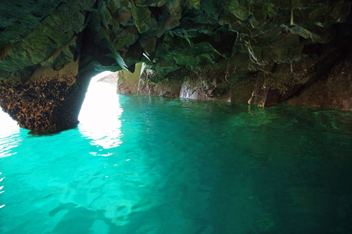 DSC00314-s.jpg