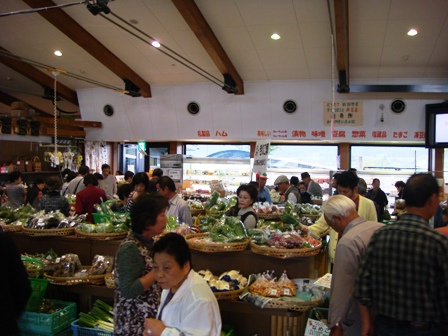 DSC08866-s.jpg