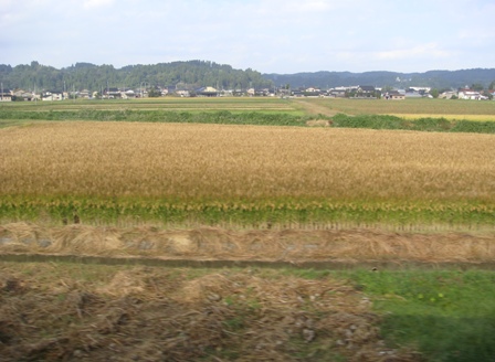 DSC08982-s.jpg