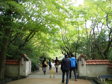 DSC09183-s.jpg