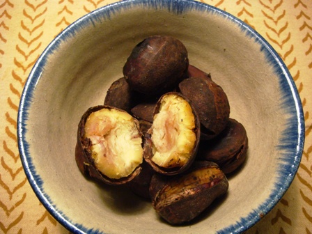 DSC09246-s.jpg
