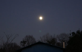 DSC09598-s.jpg