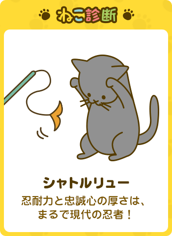 あなたに一番近い猫は…