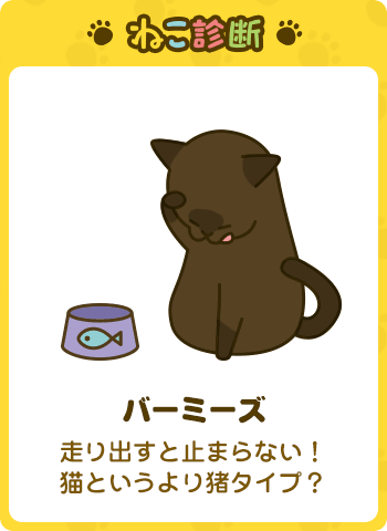 あなたに一番近い猫は…