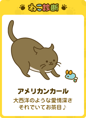 あなたに一番近い猫は…