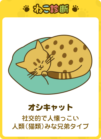 あなたに一番近い猫は…