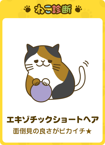 あなたに一番近い猫は…