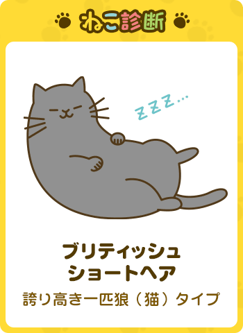 あなたに一番近い猫は…