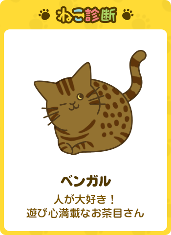 あなたに一番近い猫は…