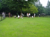 那須高原サービスエリアにあるドッグラン　