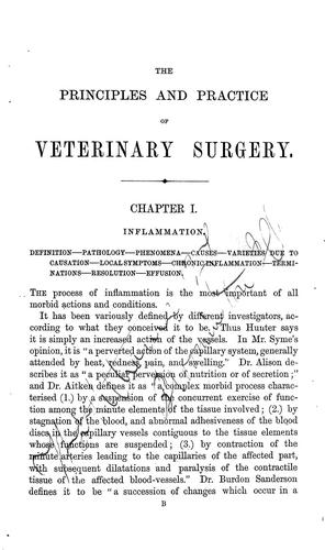 Broadway Veterinary Surgery « Heswall.