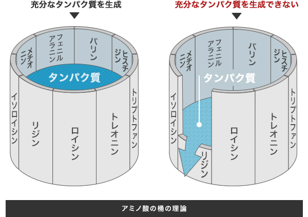 ãã¢ããé¸ã¹ã³ã¢ãã®ç»åæ¤ç´¢çµæ