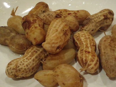 食物4