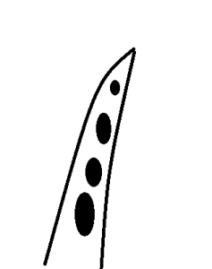 カラー2