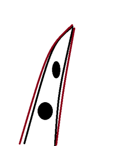 カラー4