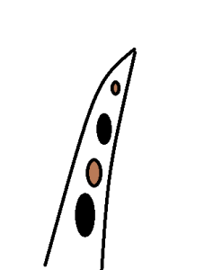 カラ1ー