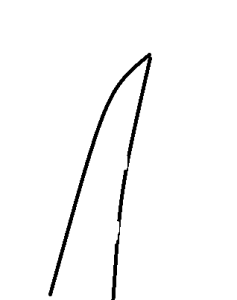 カラー5