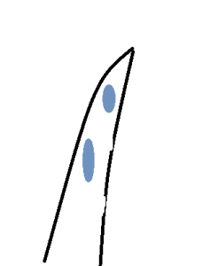 カラー6