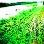 aozoraremon2011-11-11