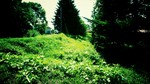 aozoraremon2011-12-29