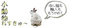 うさぎの世話は大変です Irabbit Konatsu Koharu