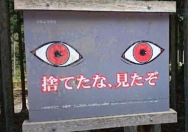 見たな、捨てたぞ - 木材へのボケ[97238501] - ボケて（bokete）