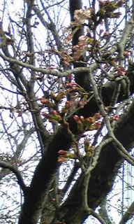 100331_1657~01.jpg