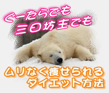 ぐーたらでも三日坊主でも痩せられるダイエット方法 ぐーたらでも三日坊主でも痩せられるダイエット方法