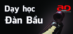 Day hoc Dan Bau