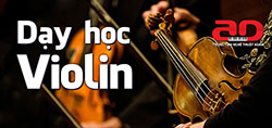 Violin Ngày
