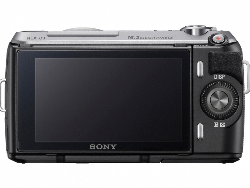 素人スタイル ~数撮りゃ当たるさ~