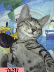 にほんブログ村 デザインブログ 女性デザイナーへ