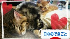 にほんブログ村 その他日記ブログ 日々のできごとへ