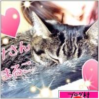 にほんブログ村 その他日記ブログ ３０代 日々のできごとへ