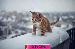 にほんブログ村 その他日記ブログ つれづれへ