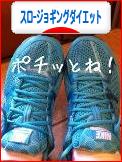 にほんブログ村 ダイエットブログ スロージョギングダイエットへ