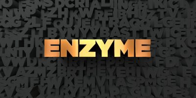 Enzyme 酵素