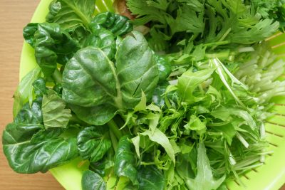 鍋の具材　豊富な野菜