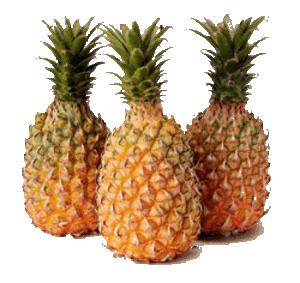 4_2