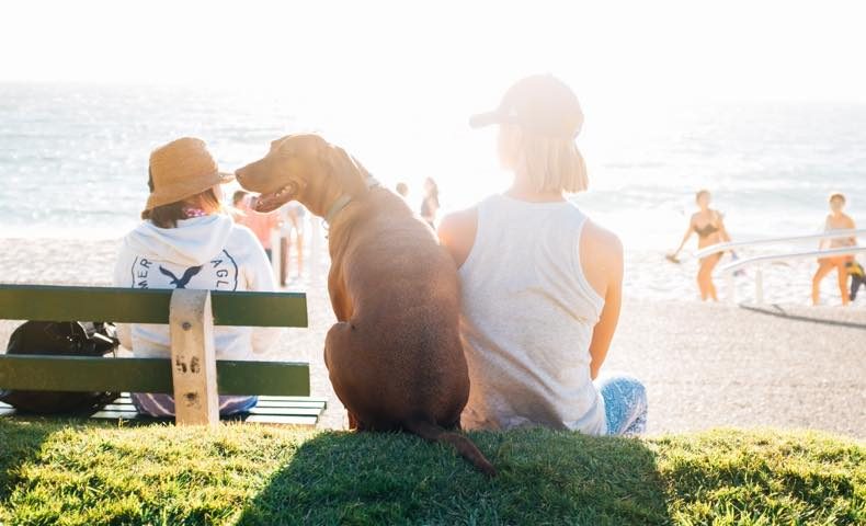 t-pexels-photo-115025