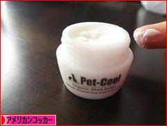 にほんブログ村 犬ブログ アメリカンコッカースパニエルへ