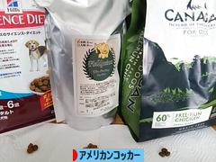 にほんブログ村 犬ブログ アメリカンコッカースパニエルへ