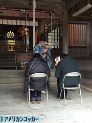 にほんブログ村 犬ブログ アメリカンコッカースパニエルへ