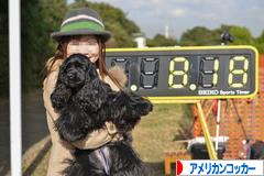 にほんブログ村 犬ブログ アメリカンコッカースパニエルへ