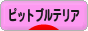 にほんブログ村 犬ブログ アメリカンピットブルテリアへ